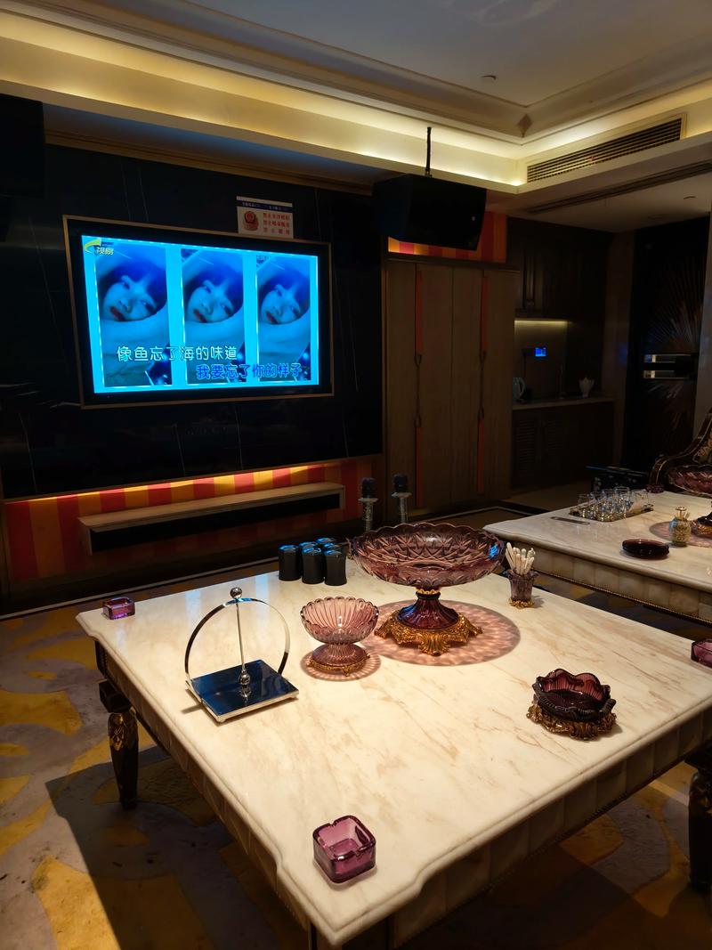 肇庆商务ktv，组局无难事-四会市ktv预定